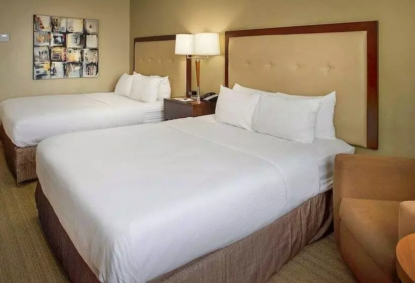 身障者適用スタンダードルーム, Doubletree By Hilton St. Louis   Westport