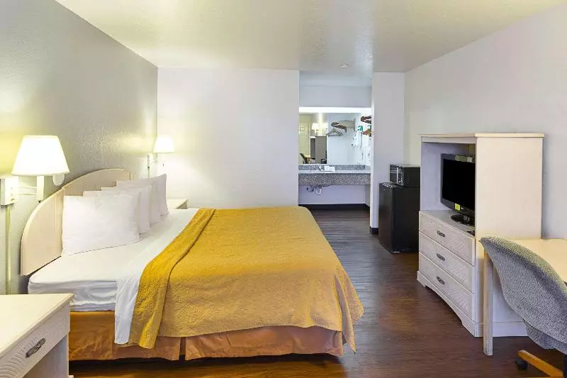 اتاق استاندارد با تخت بزرگ, Econo Lodge Downtown South