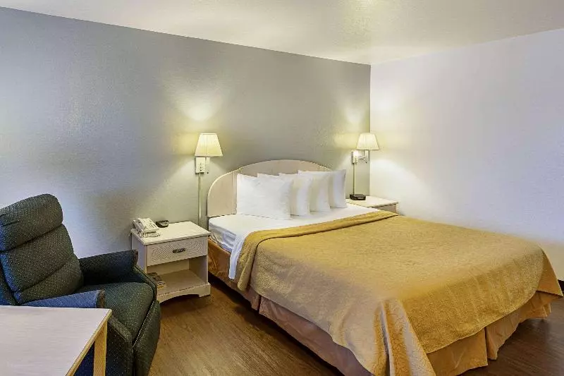 اتاق استاندارد با تخت بزرگ, Econo Lodge Downtown South