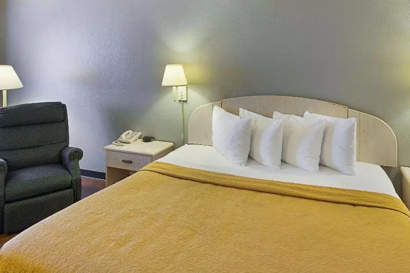 اتاق استاندارد با تخت بزرگ, Econo Lodge Downtown South