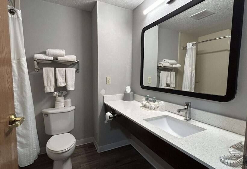 جناح لذوى الاحتياجات الخاصة, Surestay Plus By Best Western Fremont I 69