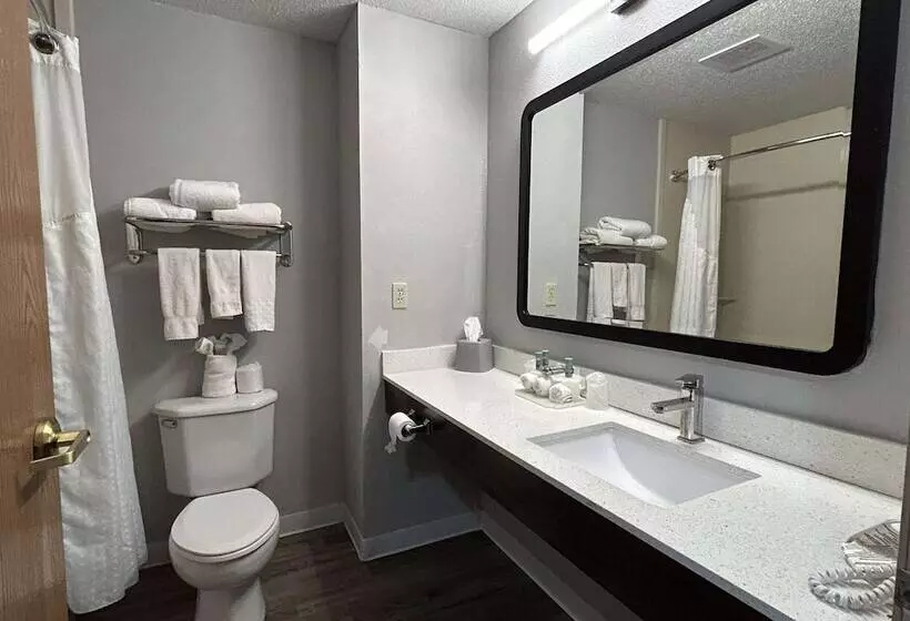 Suite para Deficientes, Surestay Plus By Best Western Fremont I 69