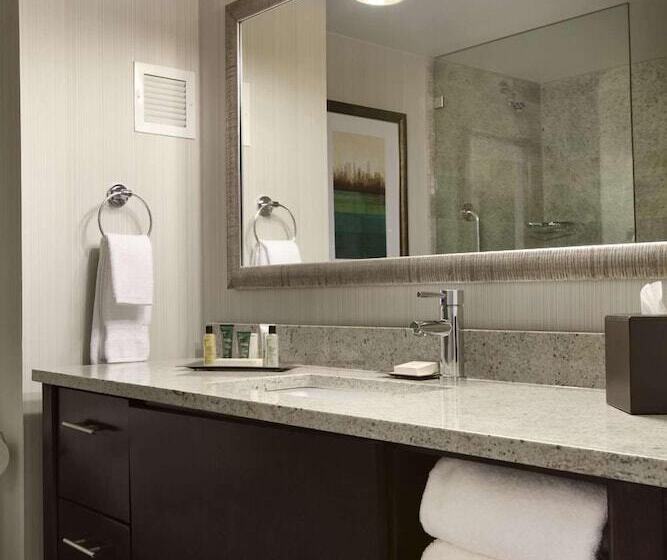 חדר אקזקיוטיב, Hilton New York Jfk Airport