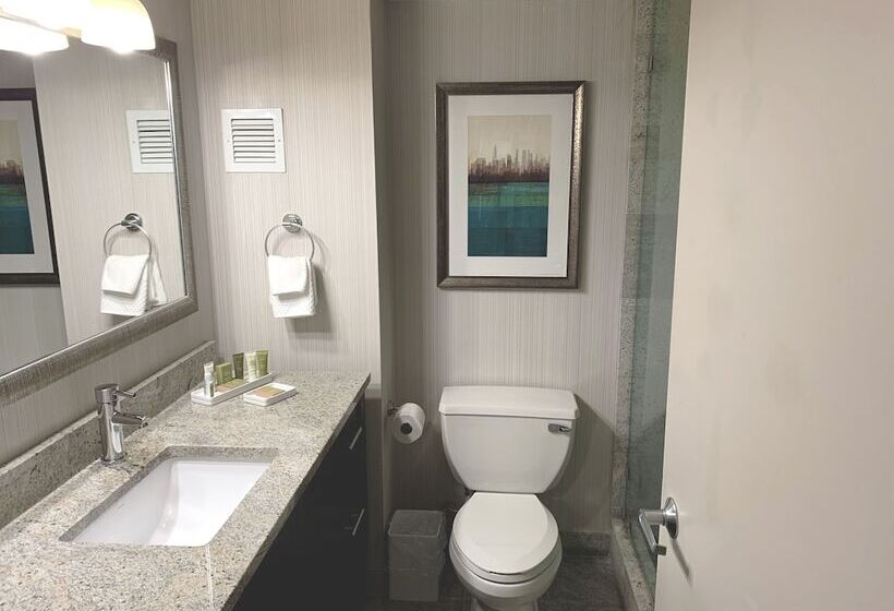 Номер Executive, Hilton New York Jfk Airport