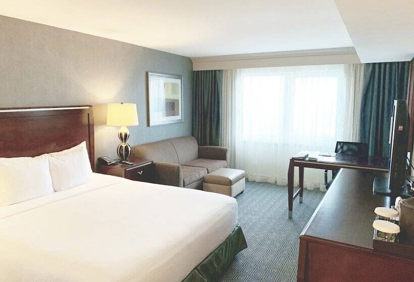 חדר אקזקיוטיב, Hilton New York Jfk Airport