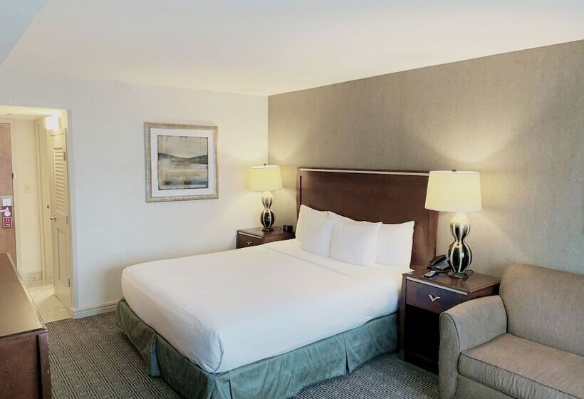 חדר אקזקיוטיב, Hilton New York Jfk Airport