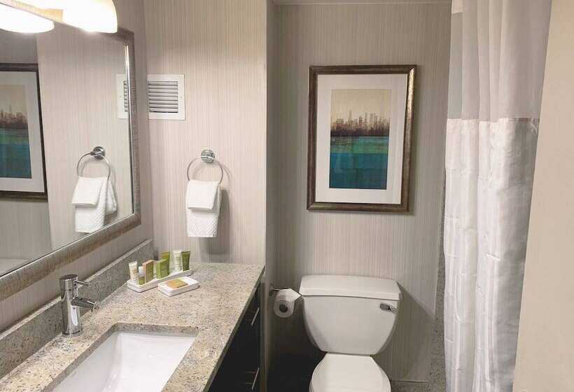 חדר אקזקיוטיב, Hilton New York Jfk Airport