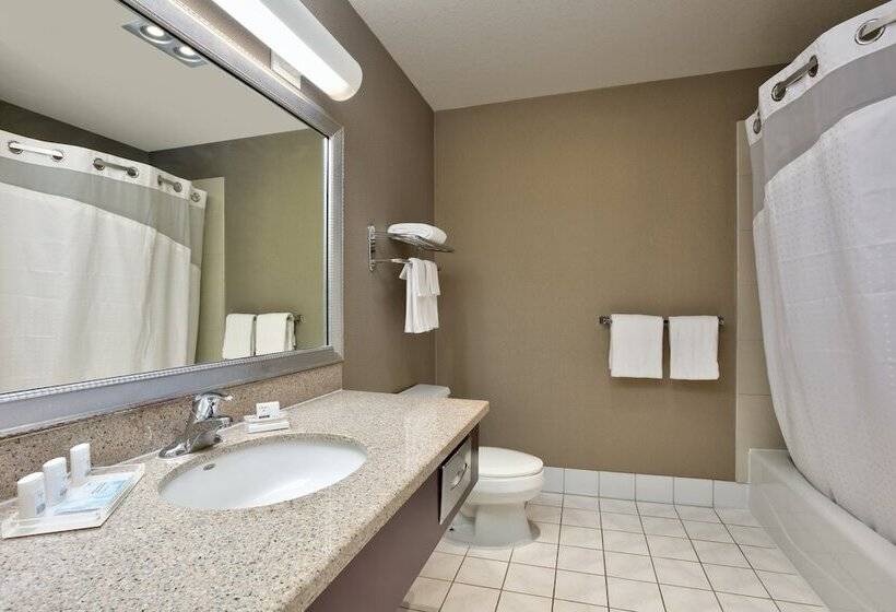 חדר סטנדרט, Holiday Inn & Suites Santa Maria, An Ihg