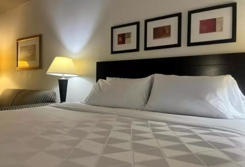 キングサイズベッドのエクゼクティブルーム, Holiday Inn Hotel & Suites Springfield, An Ihg