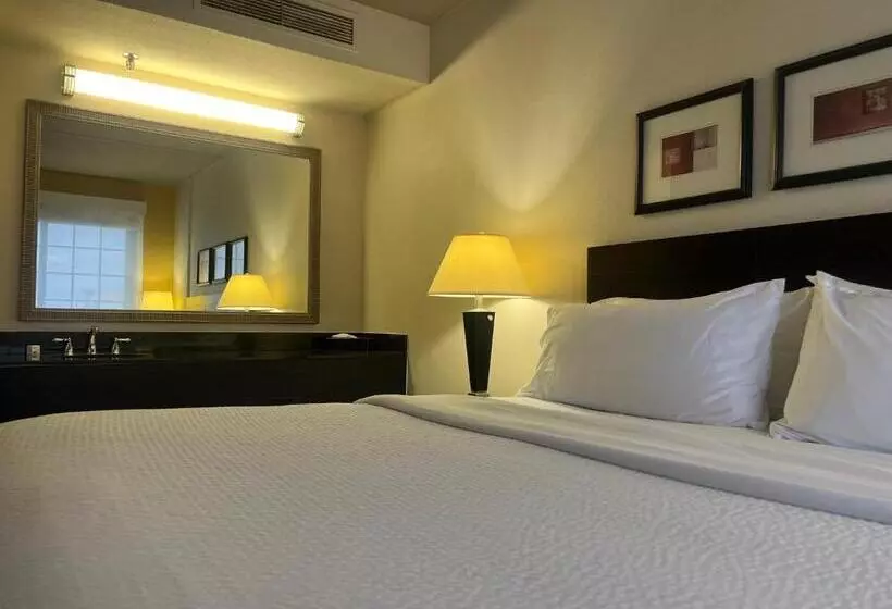 キングサイズベッドのスタンダードルーム, Holiday Inn Hotel & Suites Springfield, An Ihg