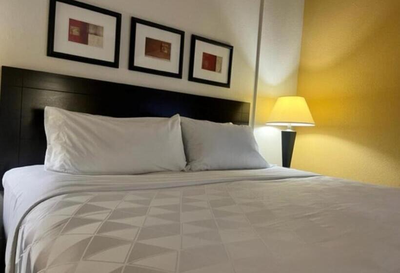 غرفة قياسية سرير كينج, Holiday Inn Hotel & Suites Springfield, An Ihg