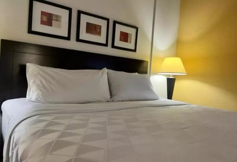 キングサイズベッドのスタンダードルーム, Holiday Inn Hotel & Suites Springfield, An Ihg