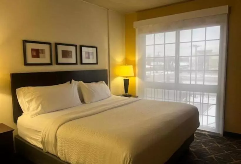 身障者適用キングサイズベッドルーム, Holiday Inn Hotel & Suites Springfield, An Ihg