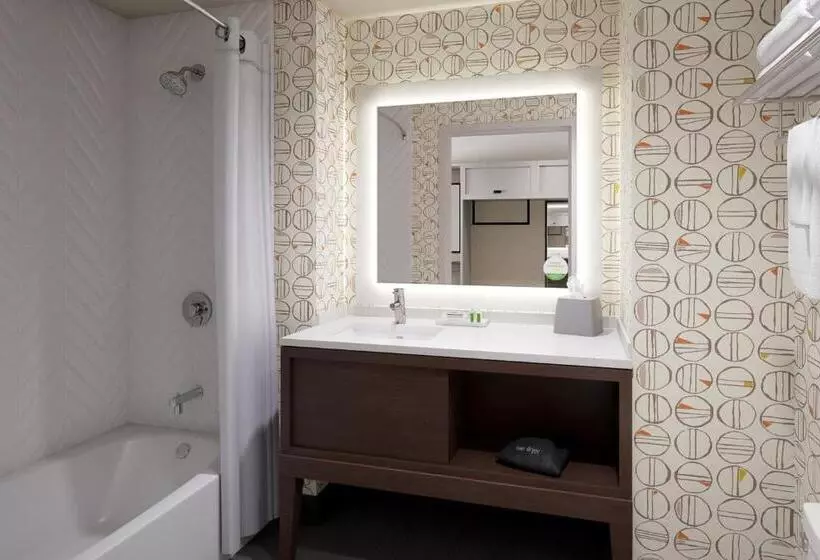 身障者適用スタンダードルーム, Holiday Inn Hotel & Suites Springfield, An Ihg