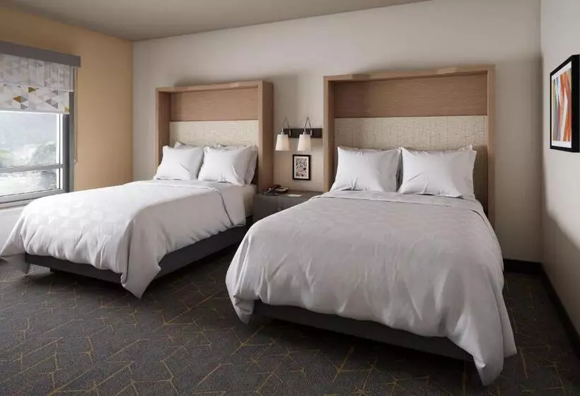 身障者適用スタンダードルーム, Holiday Inn Hotel & Suites Springfield, An Ihg
