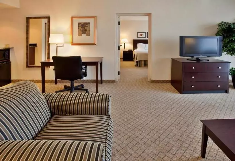キングサイズベッドのスイートルーム, Holiday Inn Hotel & Suites Springfield, An Ihg