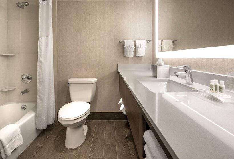 Номер Стандарт, Holiday Inn Denver Lakewood, An Ihg
