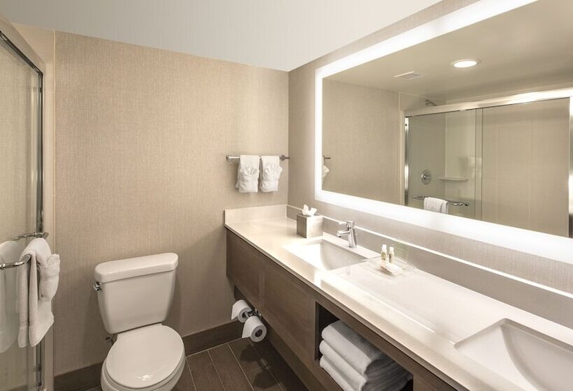 Номер Стандарт, Holiday Inn Denver Lakewood, An Ihg