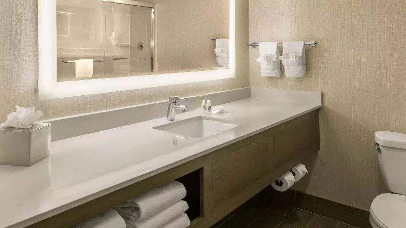 キングサイズベッドのスタンダードルーム, Holiday Inn Denver Lakewood, An Ihg