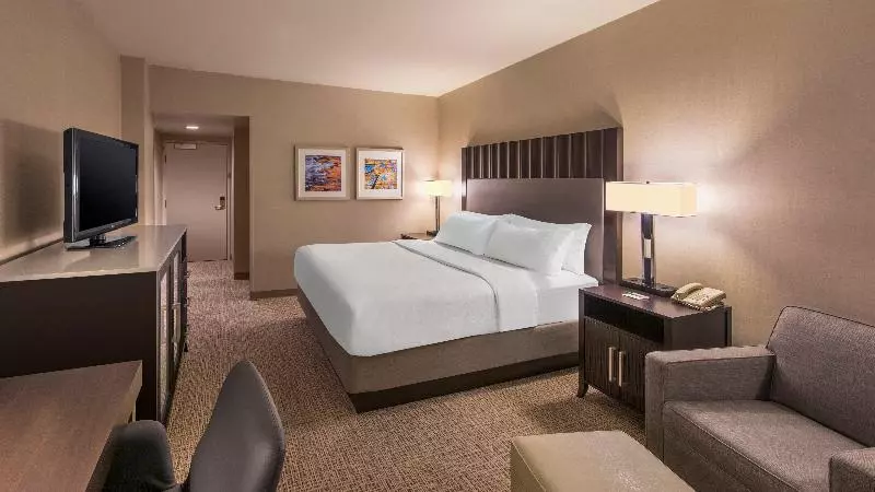 キングサイズベッドのスタンダードルーム, Holiday Inn Denver Lakewood, An Ihg