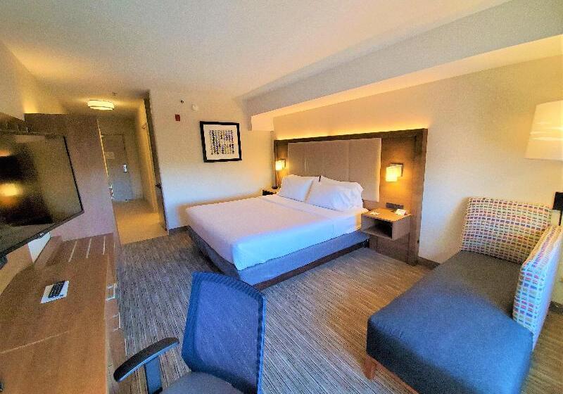 غرفة قياسية سرير كينج, Holiday Inn Express Hotel & Suites Seattle North   Lynnwood, An Ihg