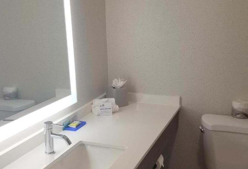 스탠다드 룸 킹사이즈 침대, Holiday Inn Express Irwin Pa Tpk Exit 67, An Ihg