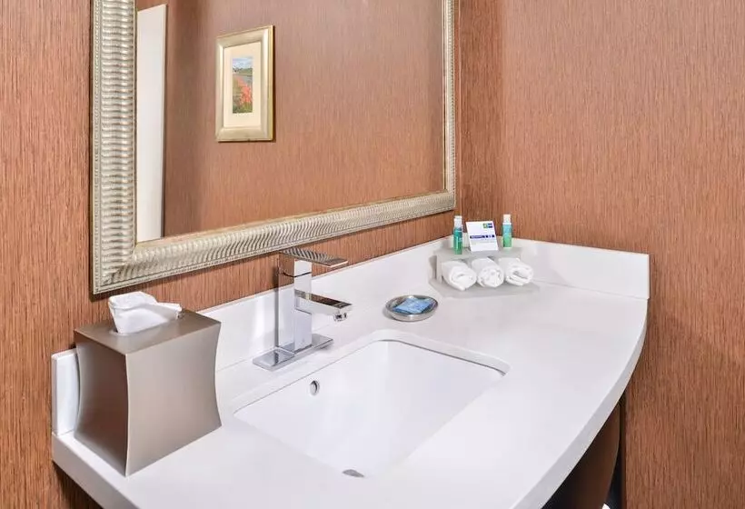 ハイドロマッサージバス付きスイート, Holiday Inn Express Lewisburg   New Columbia, An Ihg