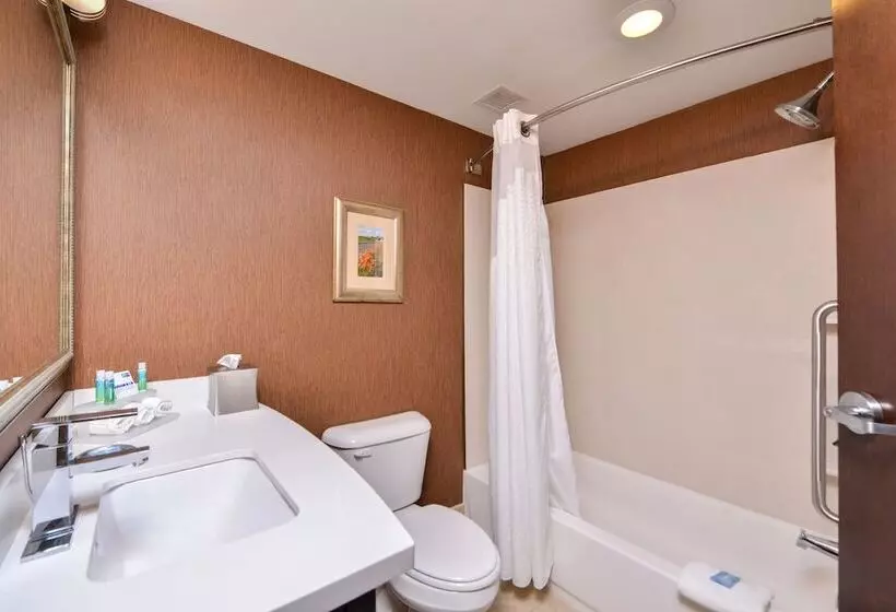 ハイドロマッサージバス付きスイート, Holiday Inn Express Lewisburg   New Columbia, An Ihg