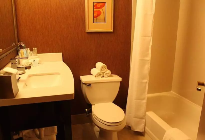 スイート, Holiday Inn Express Lewisburg   New Columbia, An Ihg