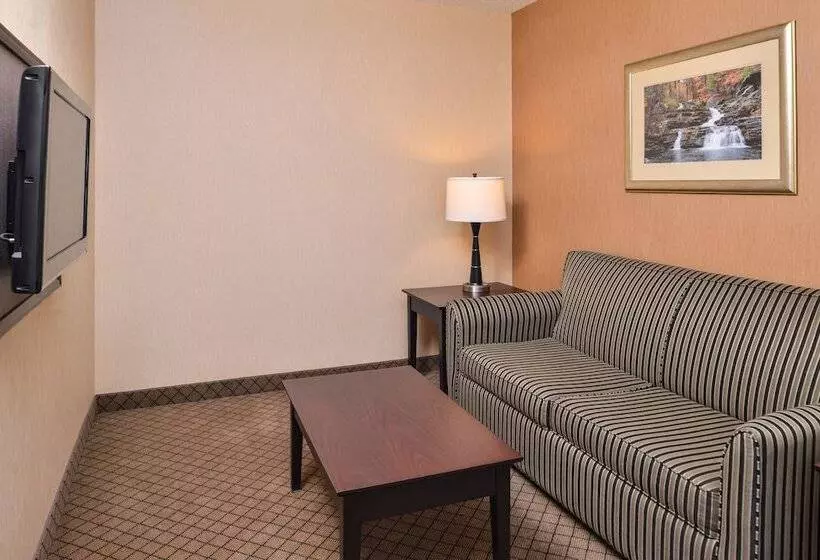 スイート, Holiday Inn Express Lewisburg   New Columbia, An Ihg