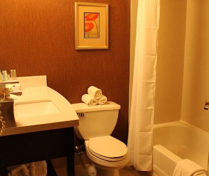 Номер Стандарт, Holiday Inn Express Lewisburg New Columbia, An Ihg