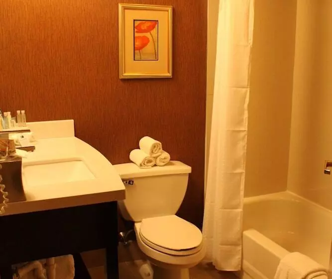 スタンダードルーム, Holiday Inn Express Lewisburg   New Columbia, An Ihg
