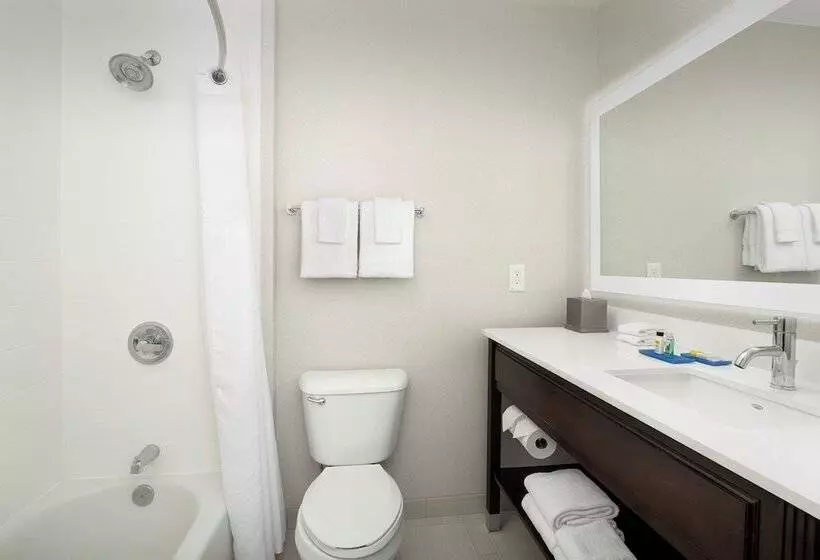 Standard-huone, Holiday Inn Express Puyallup, An Ihg