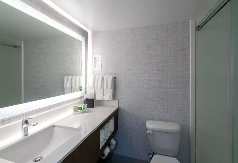 اتاق استاندارد, Holiday Inn Huntsville   Research Park, An Ihg