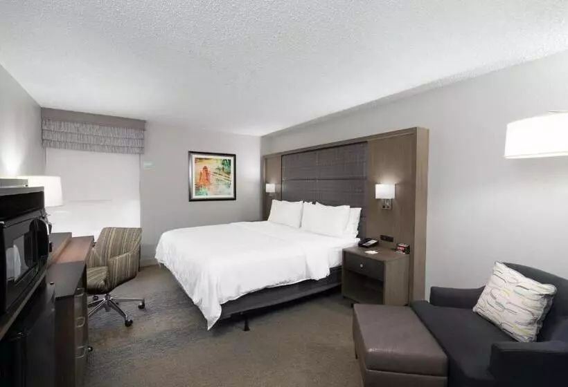 اتاق استاندارد با تخت بزرگ, Holiday Inn Huntsville   Research Park, An Ihg