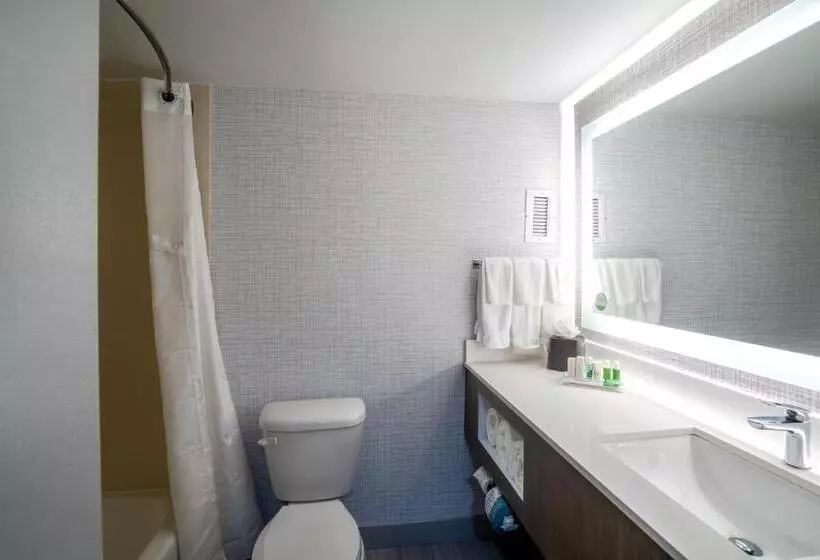 اتاق استاندارد با تخت بزرگ, Holiday Inn Huntsville   Research Park, An Ihg