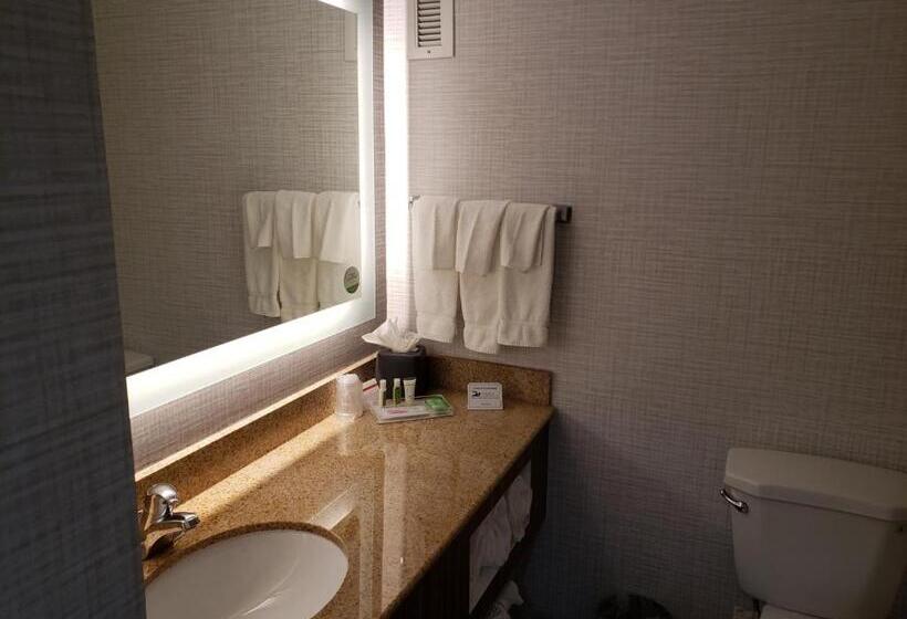 스탠다드 룸 킹사이즈 침대, Holiday Inn Huntsville Research Park, An Ihg