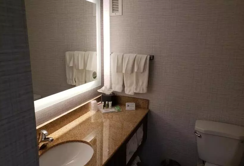 اتاق استاندارد با تخت بزرگ, Holiday Inn Huntsville   Research Park, An Ihg