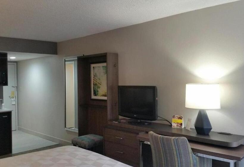 스탠다드 룸 킹사이즈 침대, Holiday Inn Huntsville   Research Park, An Ihg