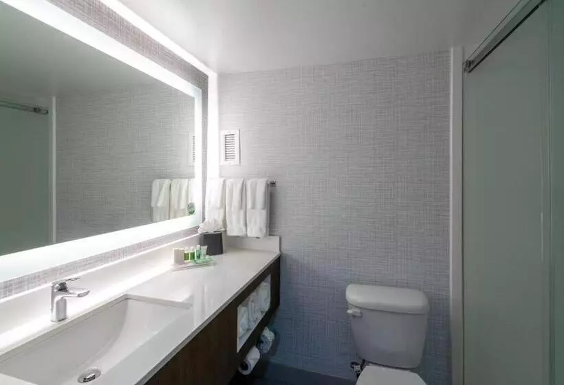 اتاق اجرایی با تخت بزرگ, Holiday Inn Huntsville   Research Park, An Ihg