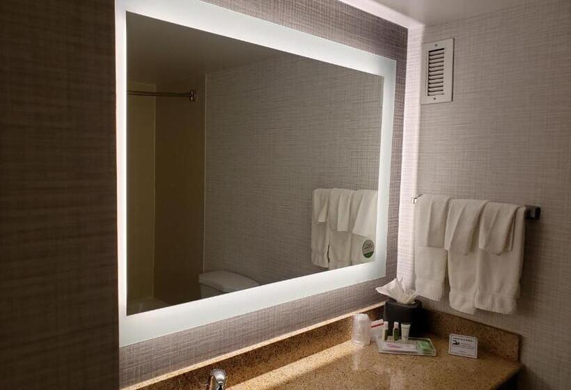 이그제큐티브 룸 킹사이즈 침대, Holiday Inn Huntsville Research Park, An Ihg