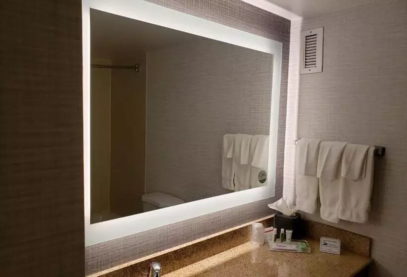 اتاق اجرایی با تخت بزرگ, Holiday Inn Huntsville   Research Park, An Ihg