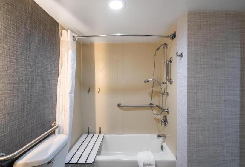 장애인을 위한 킹사이즈 침대 스탠다드 룸, Holiday Inn Huntsville Research Park, An Ihg