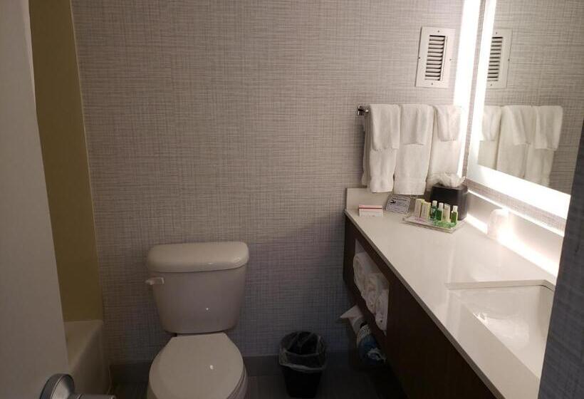 장애인을 위한 킹사이즈 침대 스탠다드 룸, Holiday Inn Huntsville Research Park, An Ihg