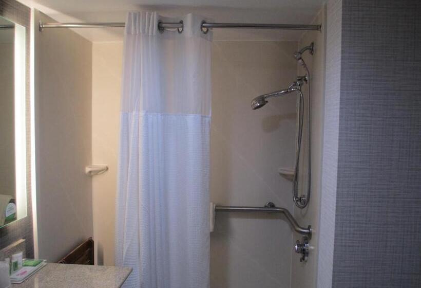 장애인을 위한 킹사이즈 침대 스탠다드 룸, Holiday Inn Huntsville Research Park, An Ihg