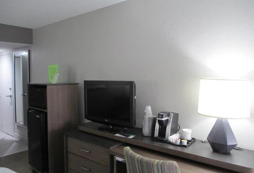 장애인을 위한 킹사이즈 침대 스탠다드 룸, Holiday Inn Huntsville   Research Park, An Ihg
