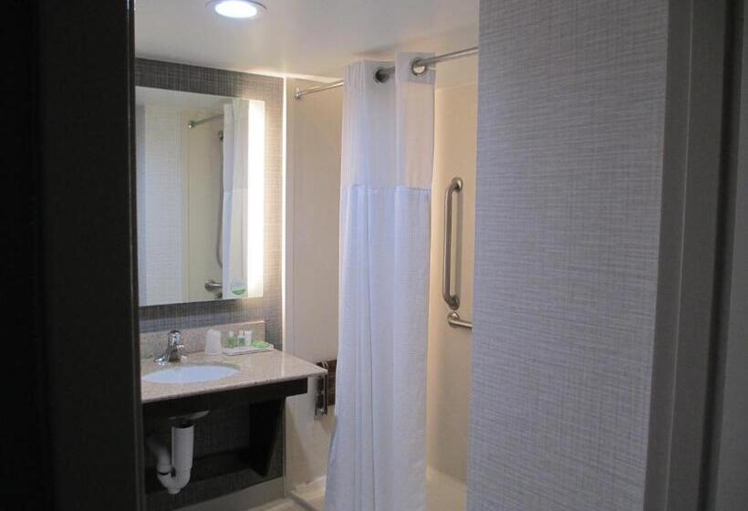 장애인을 위한 킹사이즈 침대 스탠다드 룸, Holiday Inn Huntsville Research Park, An Ihg