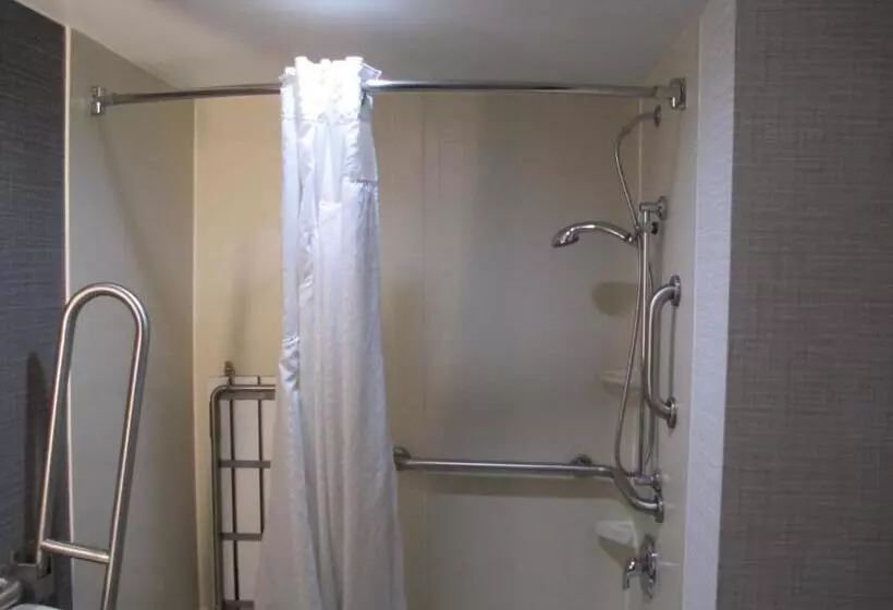 اتاق دلوکس مخصوص معلولین, Holiday Inn Huntsville   Research Park, An Ihg