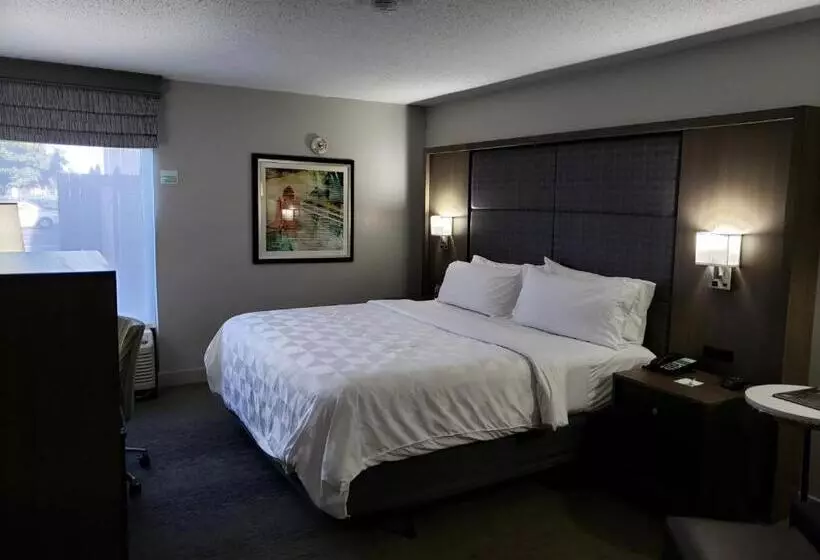 اتاق دلوکس مخصوص معلولین, Holiday Inn Huntsville   Research Park, An Ihg