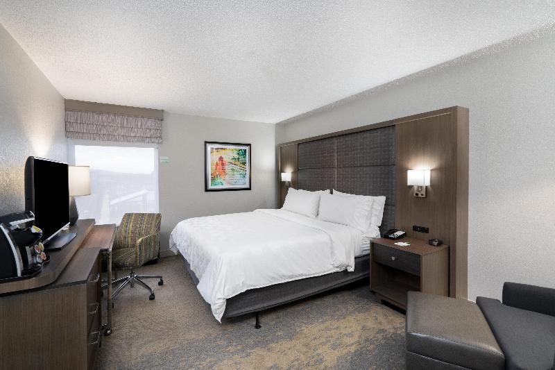 장애인을 위한 스탠다드 룸, Holiday Inn Huntsville   Research Park, An Ihg